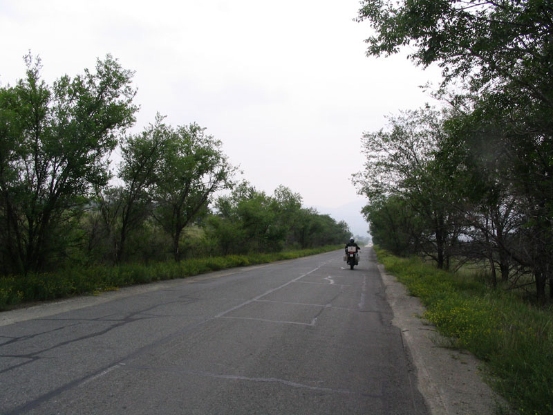 134 Savannillako